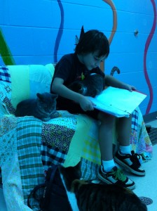 The world is our classroom... youngest son volunteering at the humane society