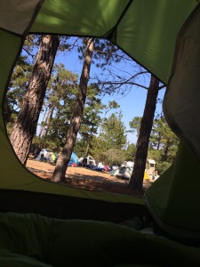 The "tent view"