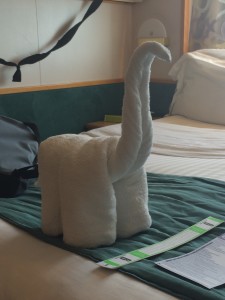 ooh a second towel animal left for us by our cabin cleaner person.